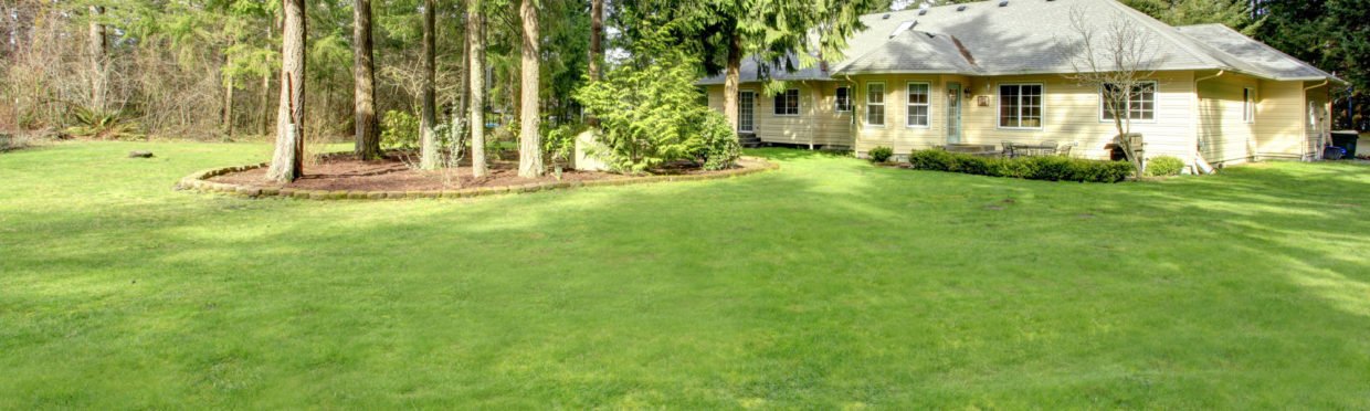 Residential Large Landscape Area Dri