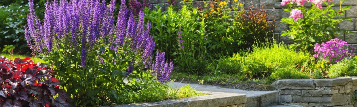 Retaining Walls Drip Installation Guide Dri