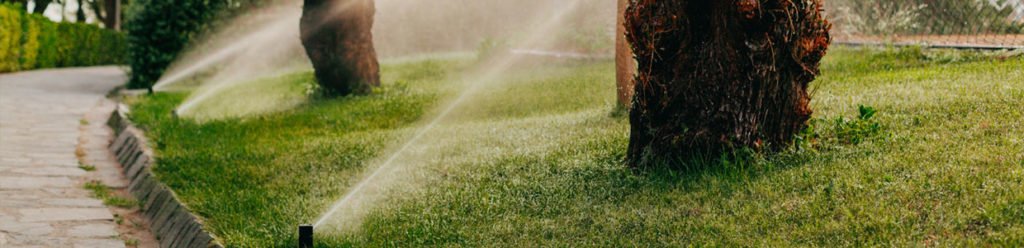 11 Common Irrigation Errors Ts