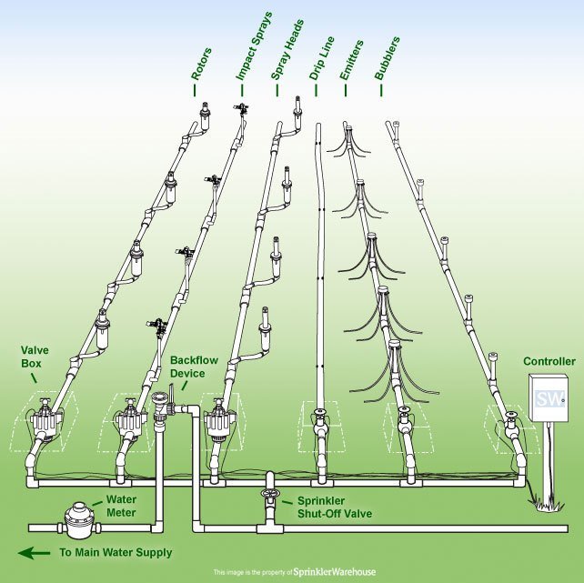 Anatomy Of Sprinkler System
