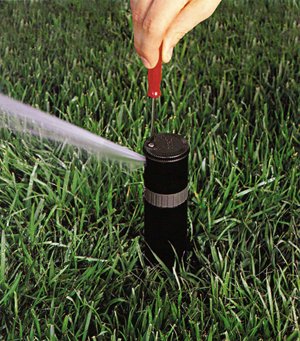 How to Adjust Sprinkler Heads