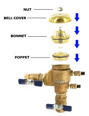 Diagram blowout of a backflow preventer and bonnet and poppet