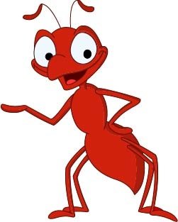 Crazy Ant