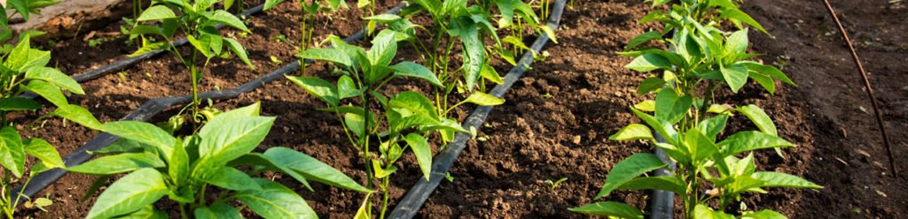 Drip Irrigation Tubing Basics Dr
