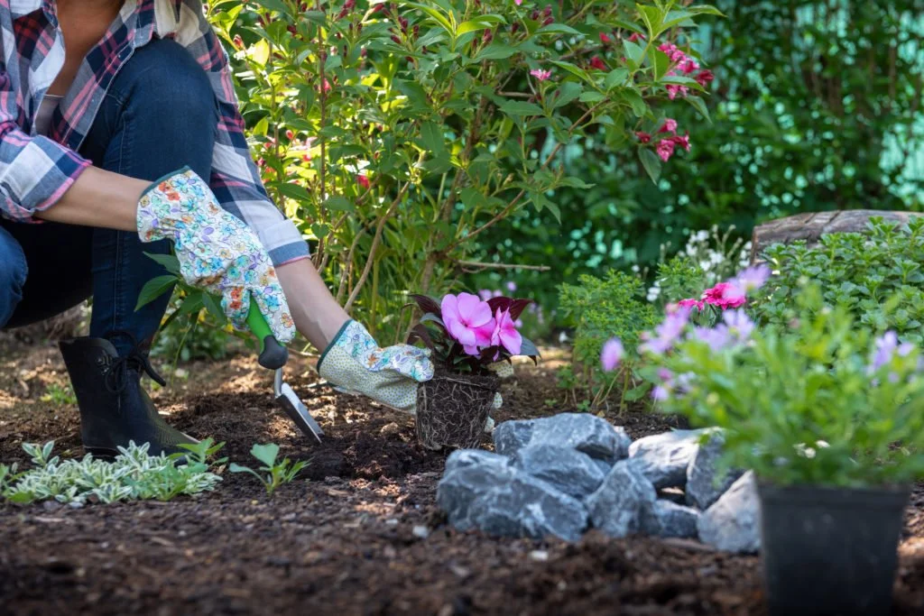 Planning Ahead: Your Garden 1