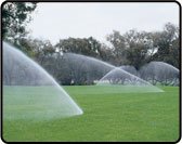 Sprinkler Rotors