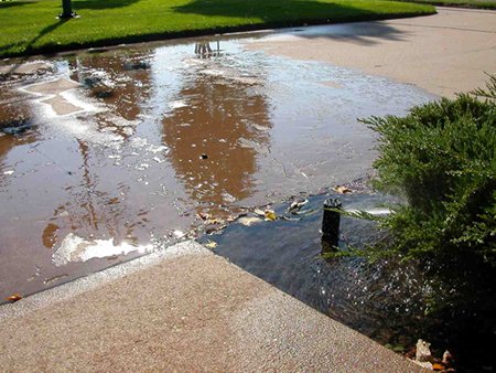 Why Is My Sprinkler Head Leaking?