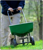 Use a fertilizer spreader