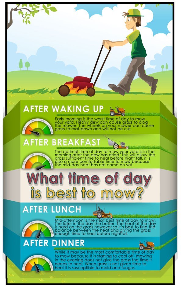 mow-grass-infographic1