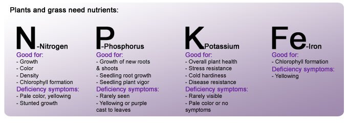 Nutrients that Plants need, Nitrogen, Phosphorus, Potassium, Iron