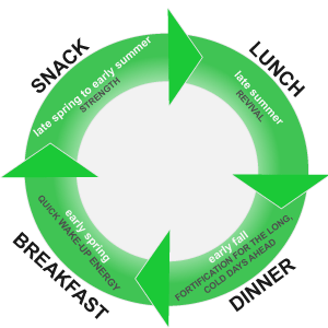 Cycle of yearly plant growth