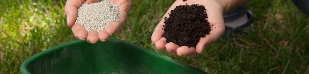 What Is The Importance Of Fertilizing My Lawn Lc