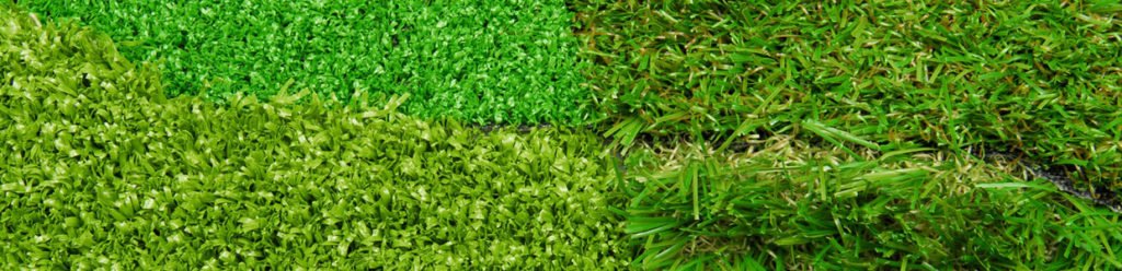 What Type of Grass Do I Have? 12 What Type Of Grass Do I Have Lc