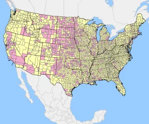 West Nile Virus Awareness Week 1 wnv_us_human_map_week52