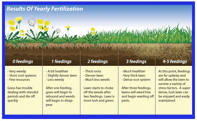 Results of yearly fertilization chart/visual