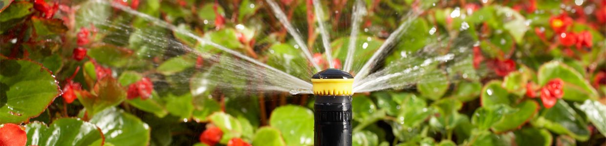 Sprinkler rotor spraying water on a garden of red flowers.