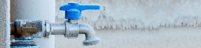 Winterization 29