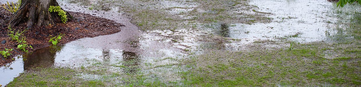Water in yard.