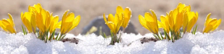 Winterization 30