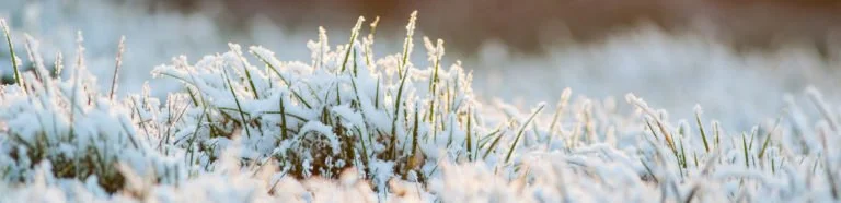 Winterization 32
