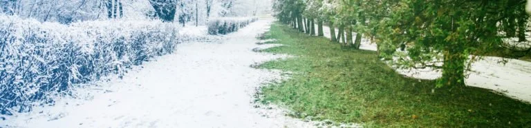 Winterization 31