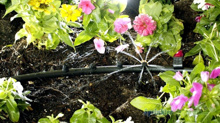 This is a picture of drip irrigation in a garden with pink flowers.