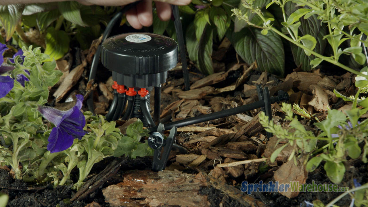 DIG's Top 12Outlet Manifolds For Drip Irrigation Sprinkler School