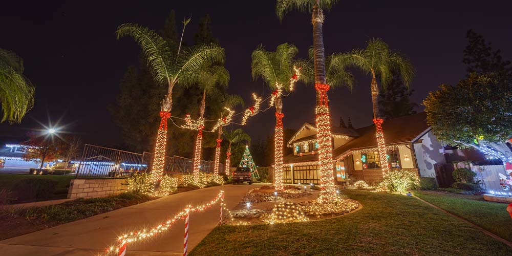 Christmas Light Installation