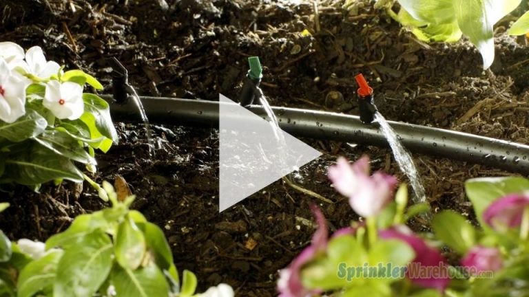 The image is demonstrating an irrigation drip line with three flag drip emitters.