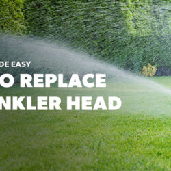 sprinkler head spraying water over a beautiful green lawn