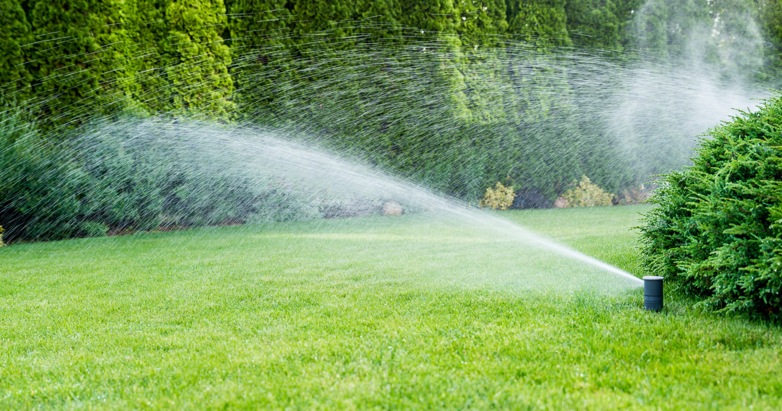 spray head jet shooting water across a vibrant green lawn