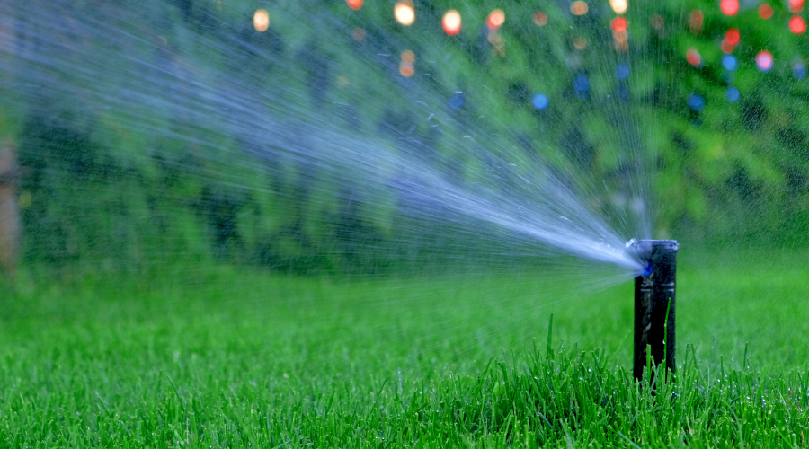 fixed sprinkler head in grass watering lawn with colorful landscape lights in the background