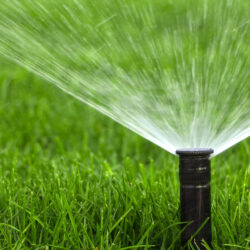 black fixed sprinkler head spraying water over green grass