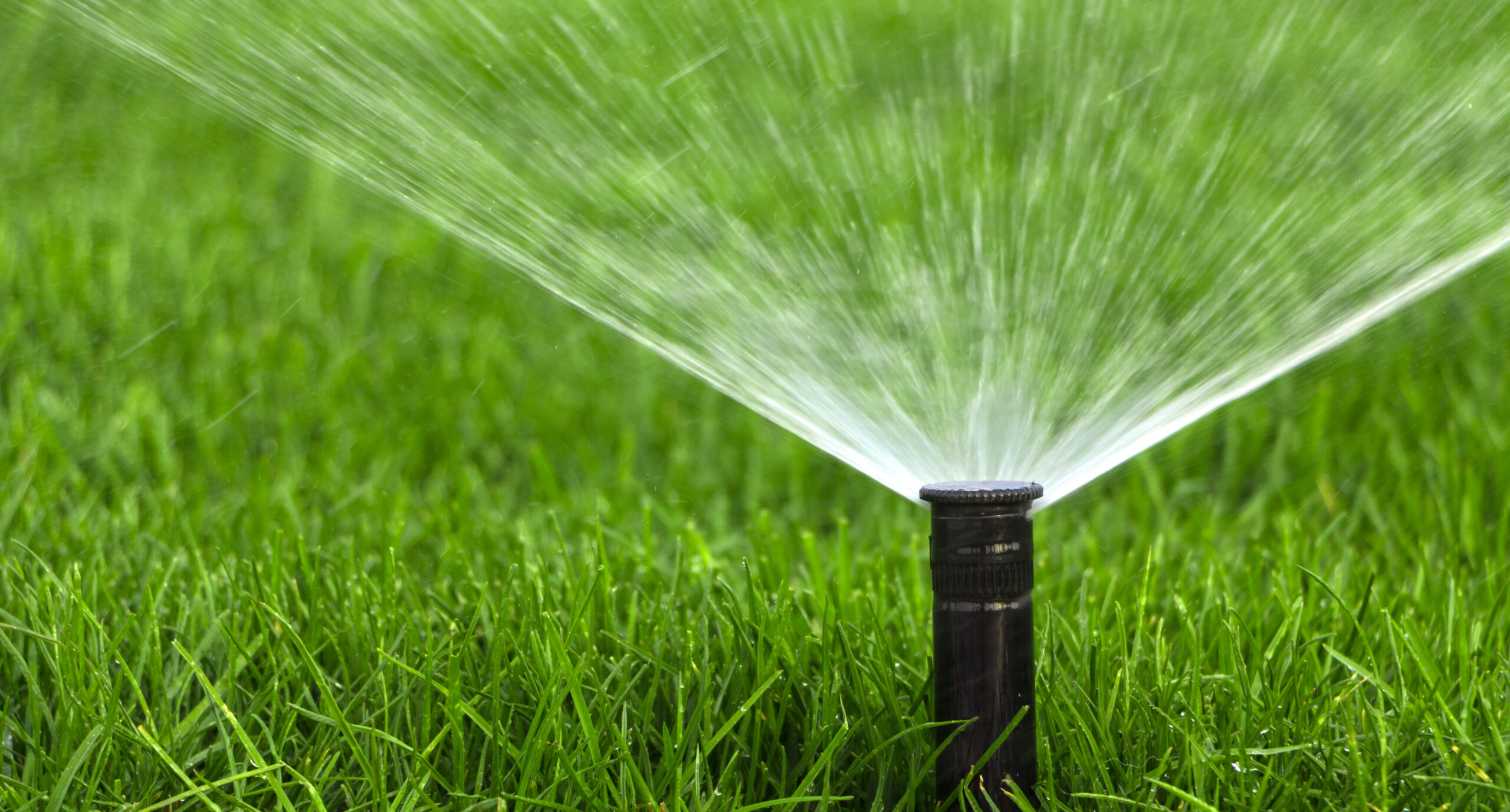 black fixed sprinkler head spraying water over green grass
