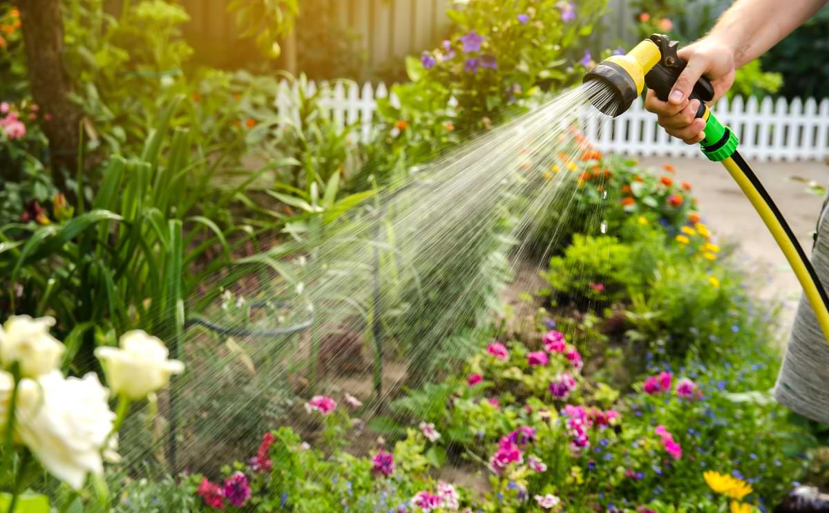How to Find the Best Garden Hose: Length, Watering Duration, & Lifespan 2 Person watering flower garden with yellow hose with a yellow hose nozzle.