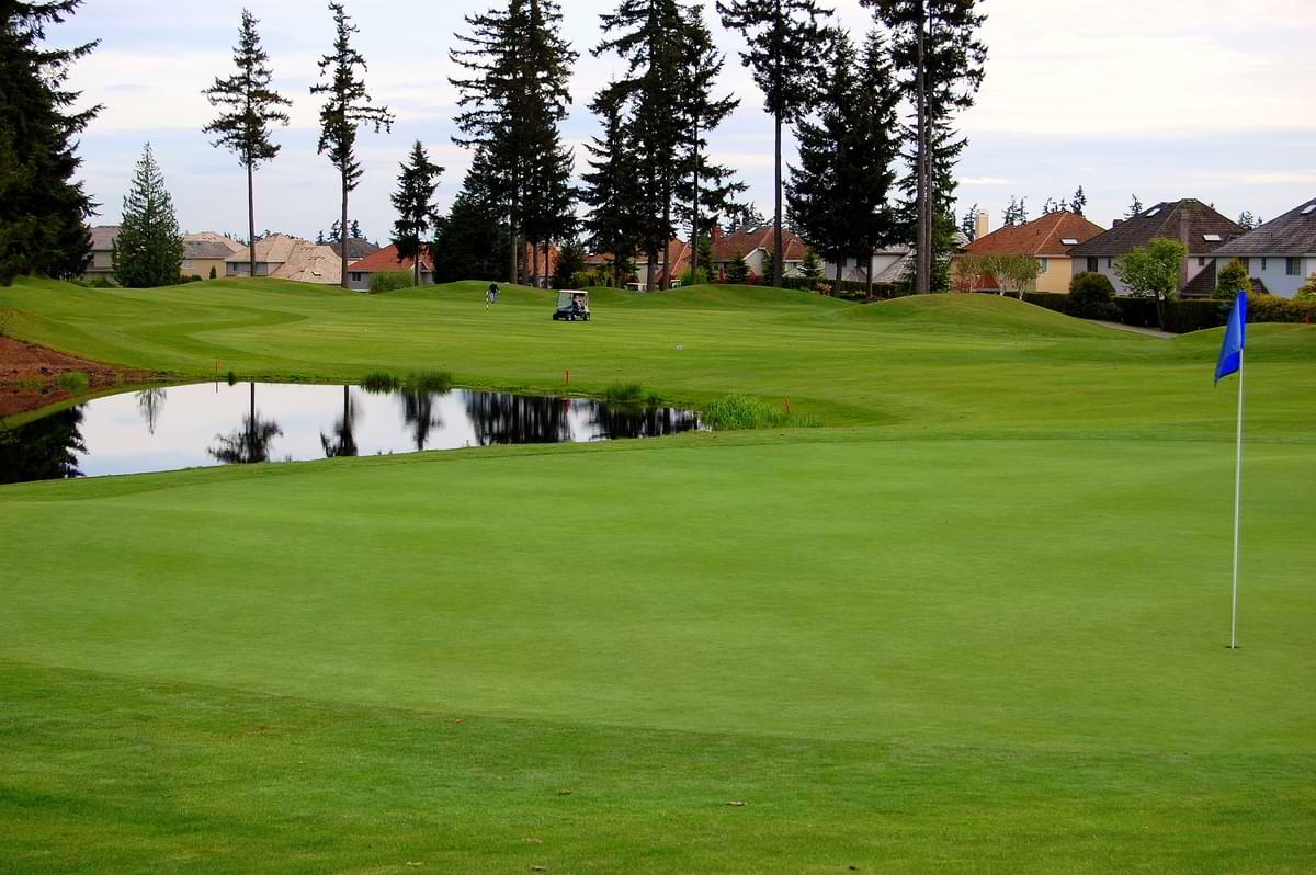 Golf Course Irrigation: Make Your System a Hole-in-One 2 Golf course with a pond and houses loosely tucked behind tall trees in the background.