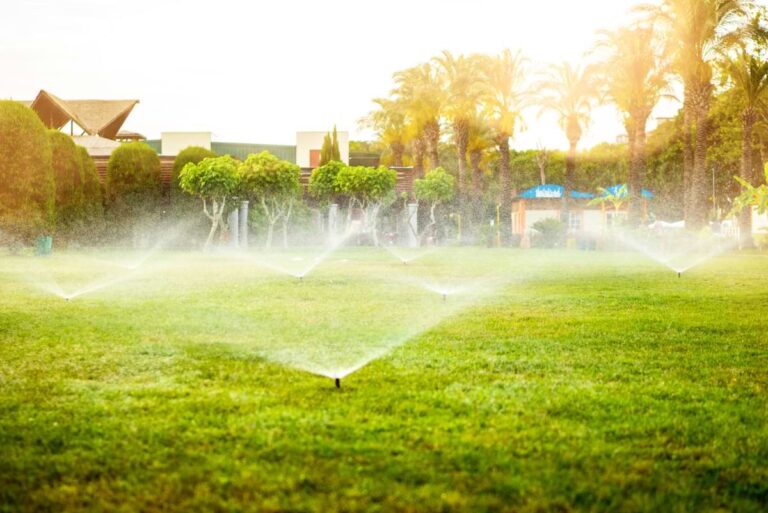 Tutorials Install & Design 7 Pop up spray heads watering an open field with palm trees and a resort in the background.