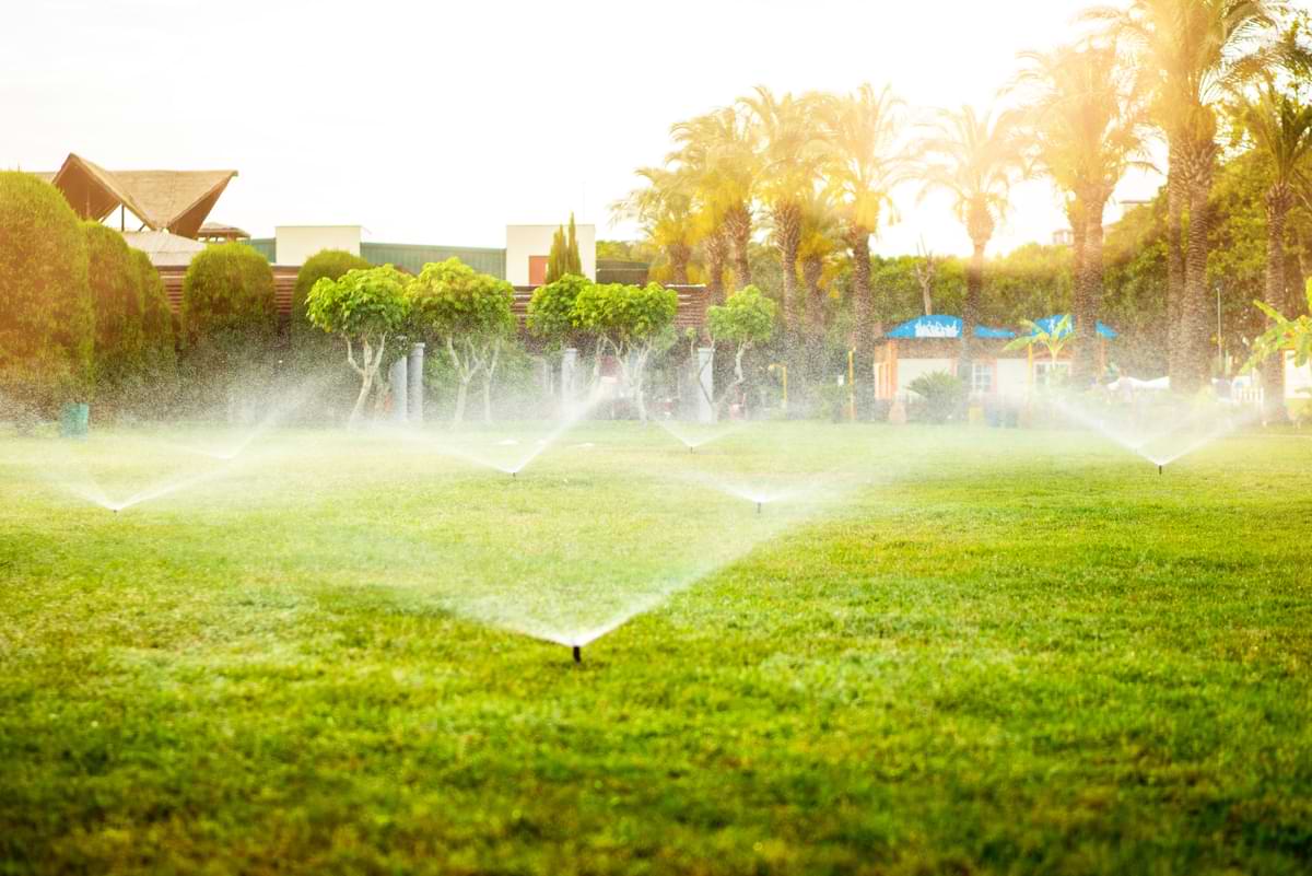 How to Design Commercial Sprinkler Systems in 6 Steps 2 Pop up spray heads watering an open field with palm trees and a resort in the background.