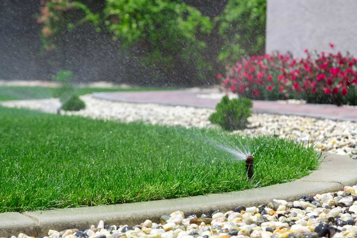 The Best Watering Schedule for Different Grass Types 1 Pop up sprinkler rotor watering green grass next to a rock garden.