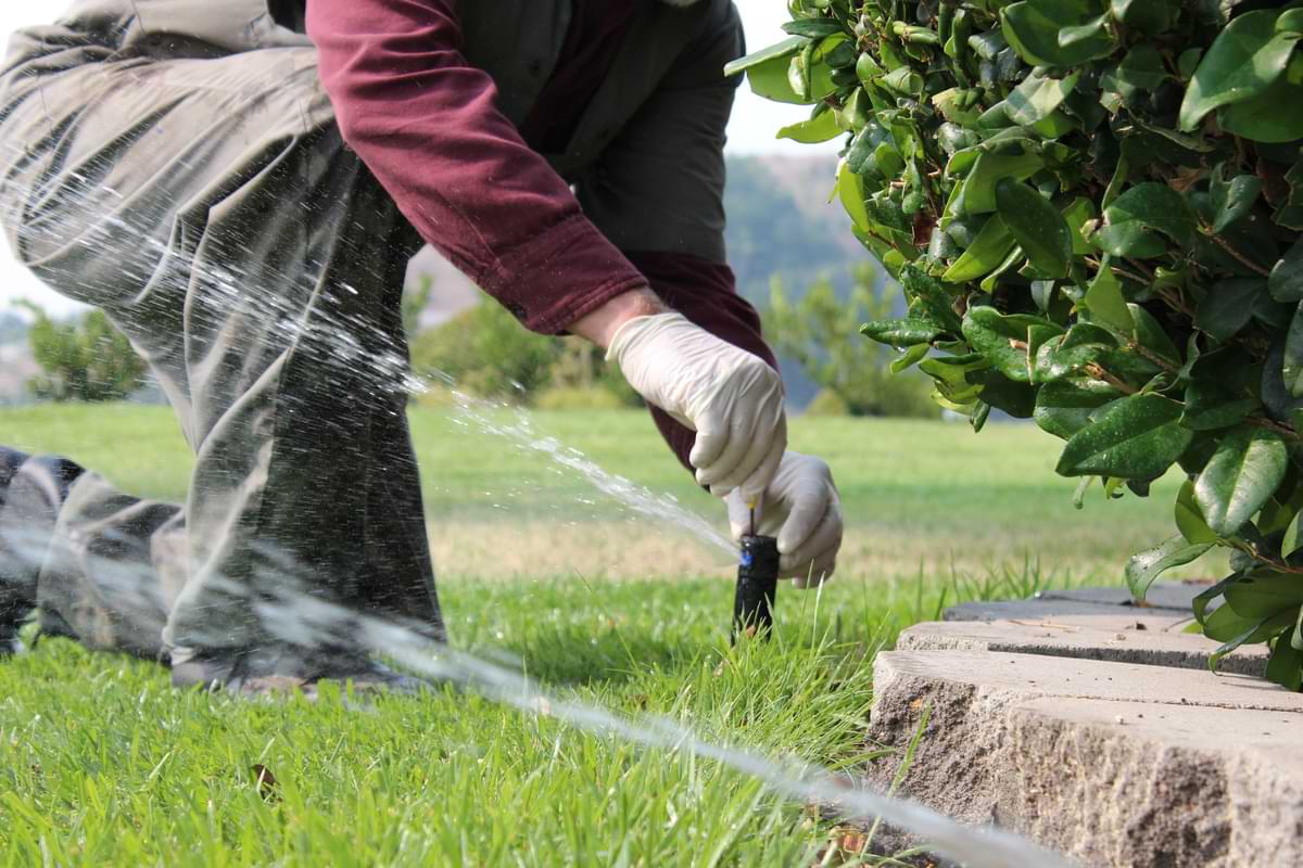 Maintenance 5 Man adjusting rotary sprinkler head in the grass adjacent to a flagstone-bordered bush garden.