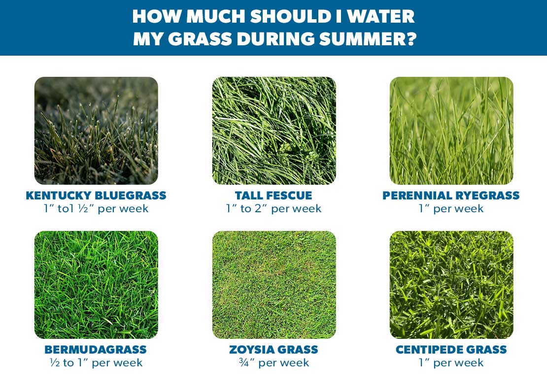 The Best Watering Schedule for Different Grass Types 2 Types of grass with suggested watering schedules for each.