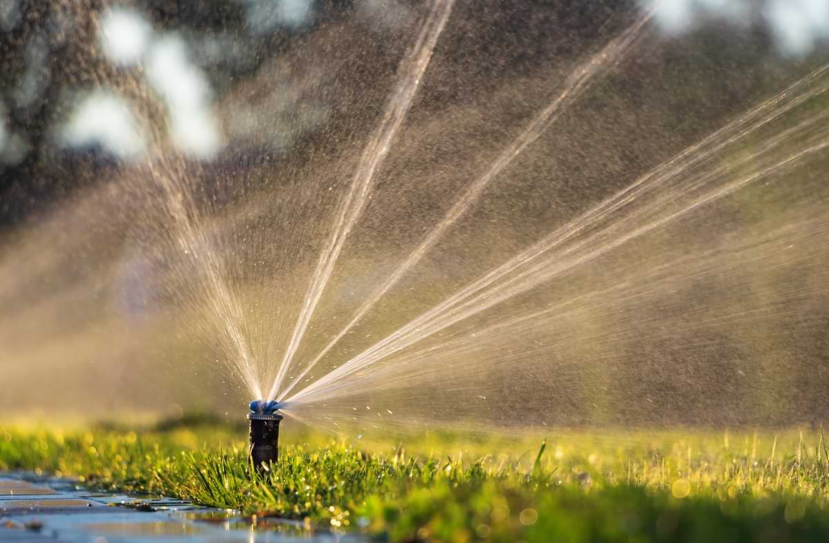Sprinkler Head Spray Patterns and When to Make Adjustments 1 Sprinkler spray head with blue fixed spray nozzle spraying water onto a strip of walkway-adjacent grass.