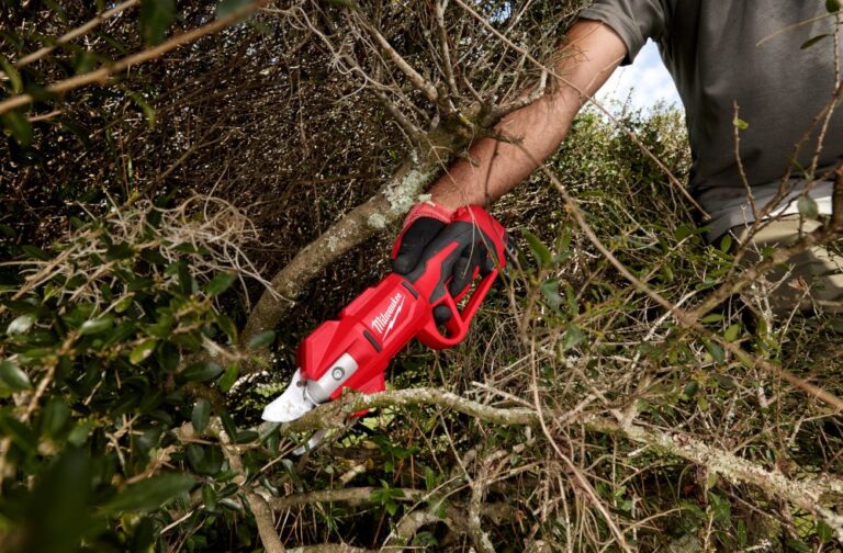 Person using Milwaukee Tool pruning shears to trim a thicket.