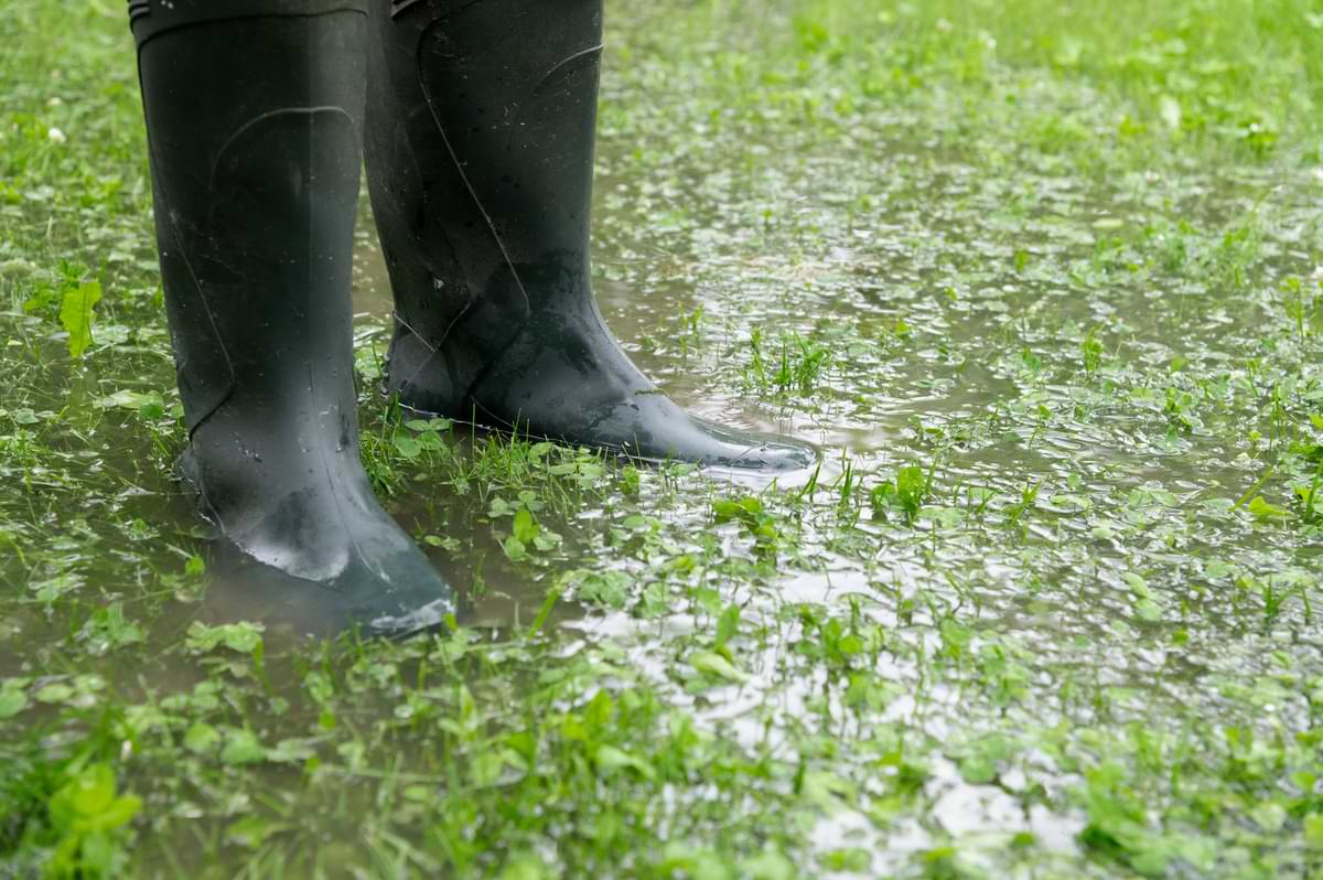 How to Fix Standing Water in Your Yard 1 Person standing in flooded grass with boots.