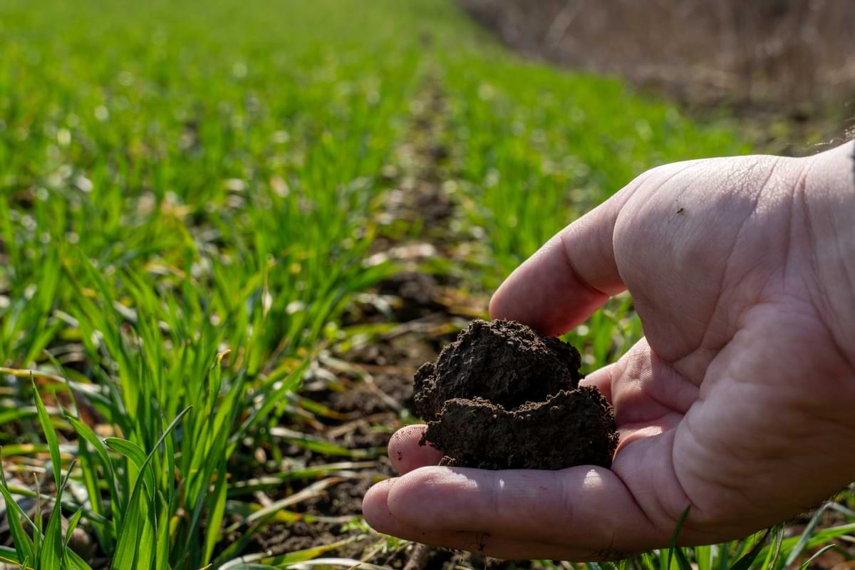 Irrigation Systems for Different Soil Types 2 Rock-sized chunk of soil in someone's hand with a field of green grass in the background.