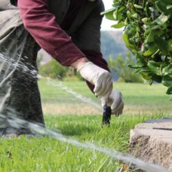Person checking sprinkler heads for clogged debris in an open range backyard with hills in the background.