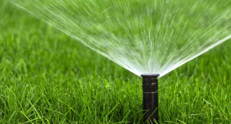Sprinkler rotor watering green grass.