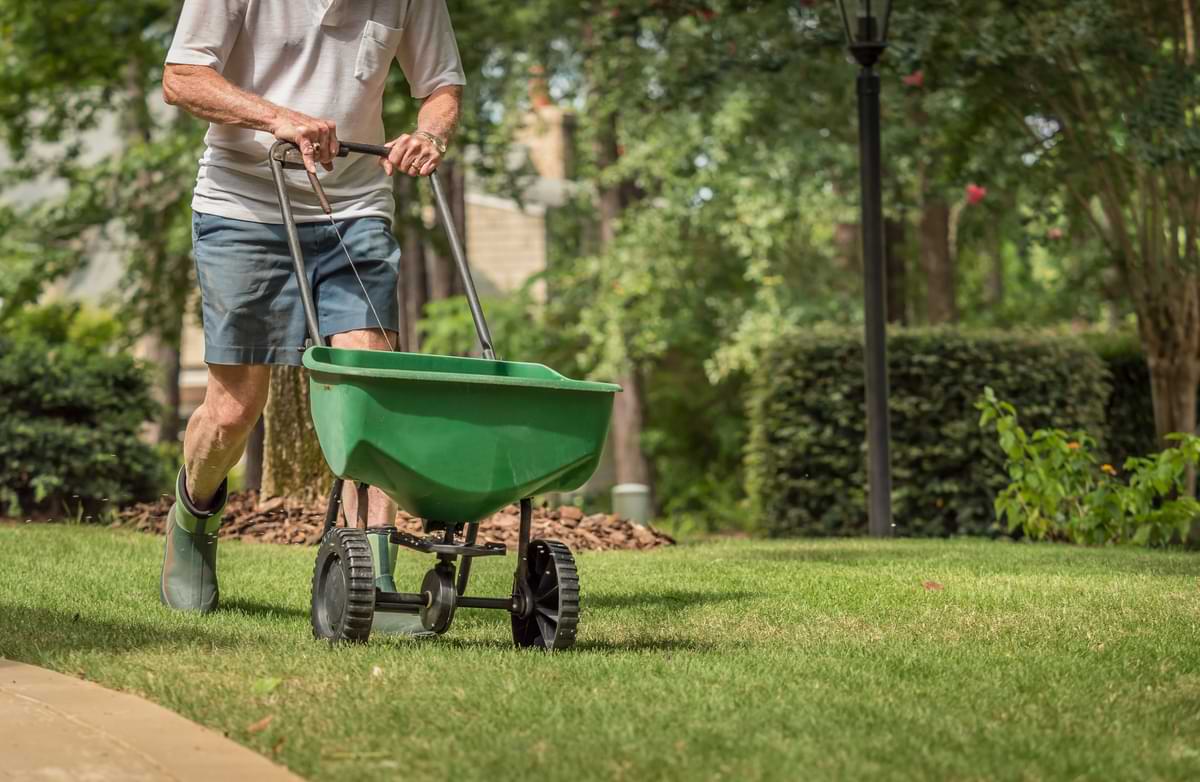 Person using green fertilizer spreader to fertilize grass. 