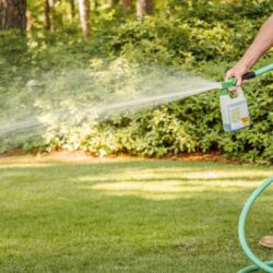 Person fertilizing lawn through garden hose.