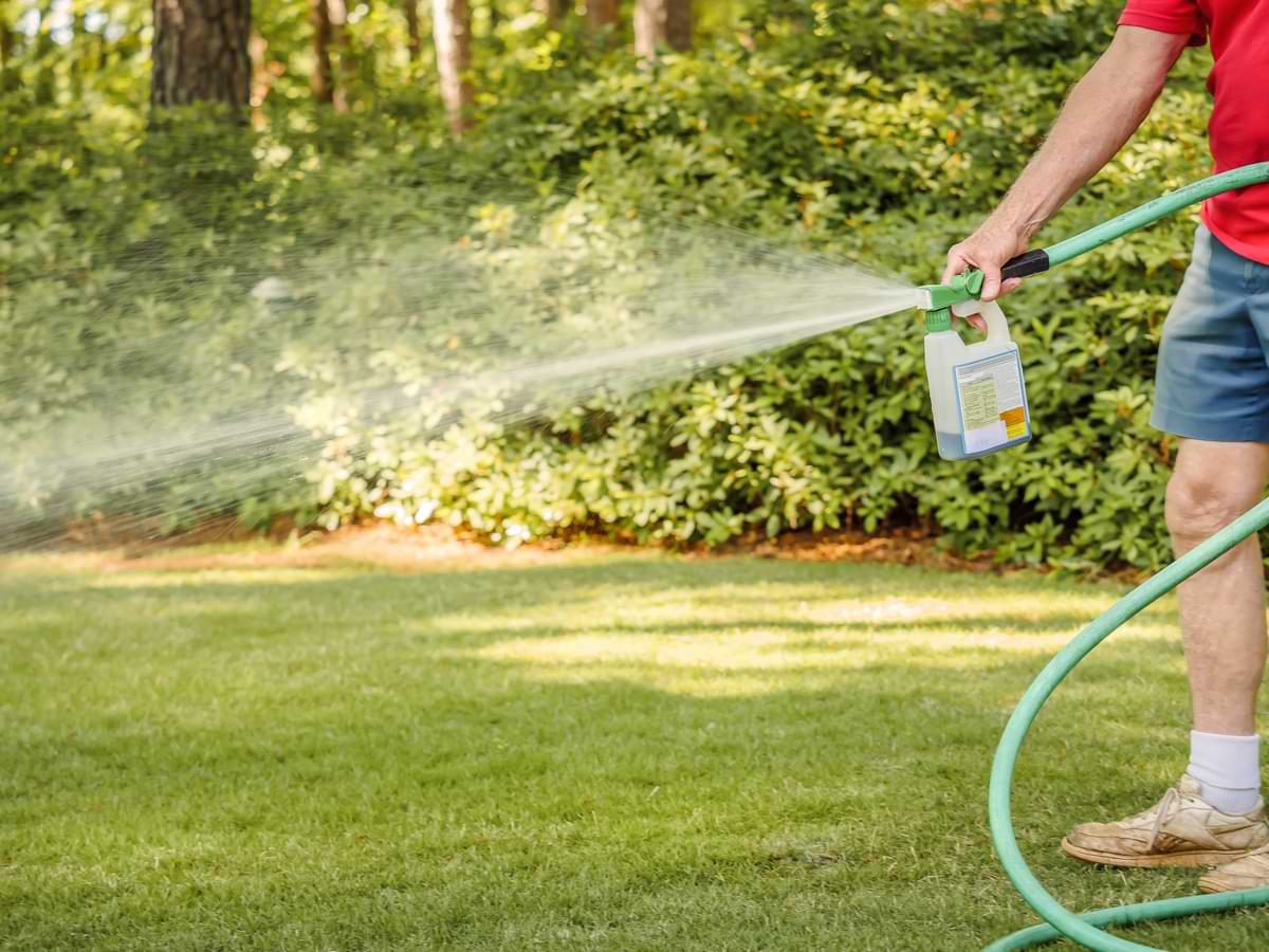 Best Fertilizer for Lawns: Choose the Right Nutrients for Healthy Grass 7 Person fertilizing lawn through garden hose.